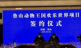 鲁山县最新爆料新闻报道,揭秘事件背后真相