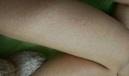 吃鸡皮肤爆料最新萌趣趣,新潮流来袭，趣味十足！